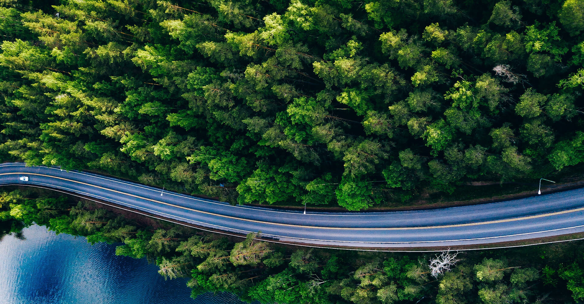 EPA's final ruling & Canada's Proposed Amendments: What You Need to Know